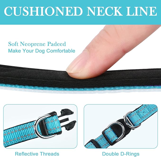 AUAUY Reflective Nylon Dog Collars, Adjustable Classic Pet Collars with Soft Neoprene Padding, Double Security Dual D-Ring and Quick Release Buckle for Small Puppy, Medium and Large Dogs (Lake Blue-L)