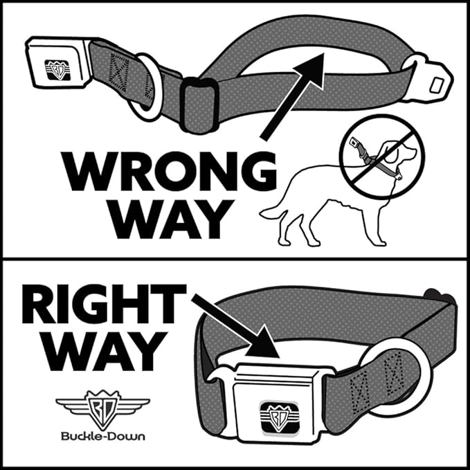 Buckle-Down Seatbelt Buckle Dog Collar - 5-Marvel Characters Black - 1" Wide - Fits 15-26" Neck - Large
