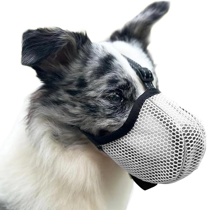 Large Dog Muzzle, Muzzle for Large Dogs to Prevent Eating/Chewing/Biting, Breathable Reflective Adjustable Medium Dog Accessories Dog Muzzle (Grey, S)