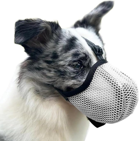 Large Dog Muzzle, Muzzle for Large Dogs to Prevent Eating/Chewing/Biting, Breathable Reflective Adjustable Medium Dog Accessories Dog Muzzle (Grey, M)