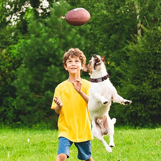 Lionheart glory Dog Collar Rugby Print Dogs Collar Boy Cute Collars Dog Soft Durable Adjustable Comfortable Handmade Dog Collars for Small Dogs Pet Collar Gift