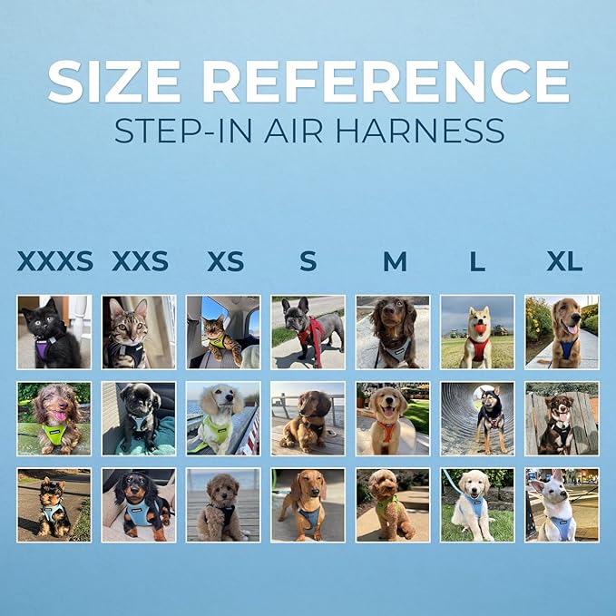 Voyager Step-in Air Dog Harness - All Weather Mesh, Reflective, No Pull Harness for Small, Medium Dogs, Cats - Secure with Hook & Loop Fastener, Buckle, Double D-Rings - Royal Blue/Black Trim, XS