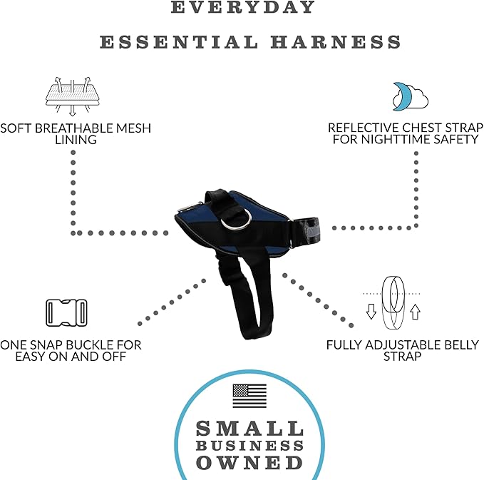 ShawnCo Essential Dog Harness, No-Pull Pet Vest with 3 Leash Clips, No Choke, Reflective, Adjustable and Padded, for Easy Walking and Training for Small, Medium and Large Dogs (Pacific Blue, S)