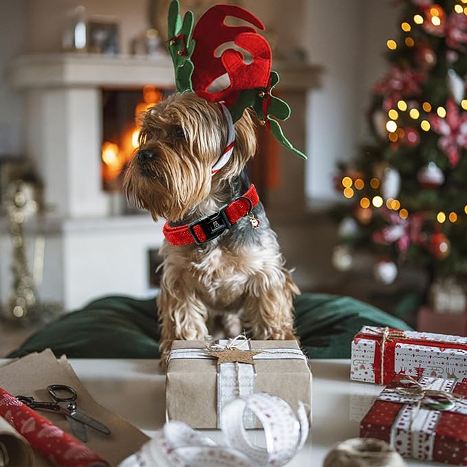 Lionheart glory Christmas Dog Collar, Red Dogs Collar Adjustable Soft Comfortable Collars for Small Dogs Girl or Boy Pet Gift Fall Cute Collar