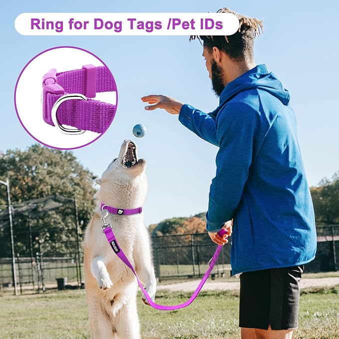 azuza 3 Pack Dog Collars Comfortable and Adjustable Nylon Dog Collars for Puppy Small Dogs, XS (8-12inch)，Pink, Hot Pink and Purple