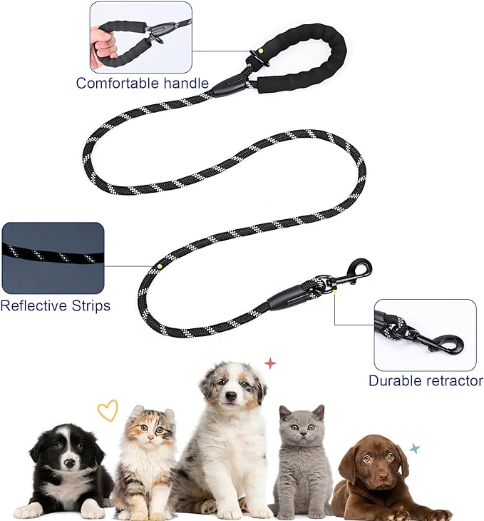 Patas Lague No Pull Dog Harness for Small Medium Dogs, Soft Adjustable Step in No Choke Dog Harness and Leash Set, Reflective Solid Dog Vest Harness with Buckle Lock, Purple L