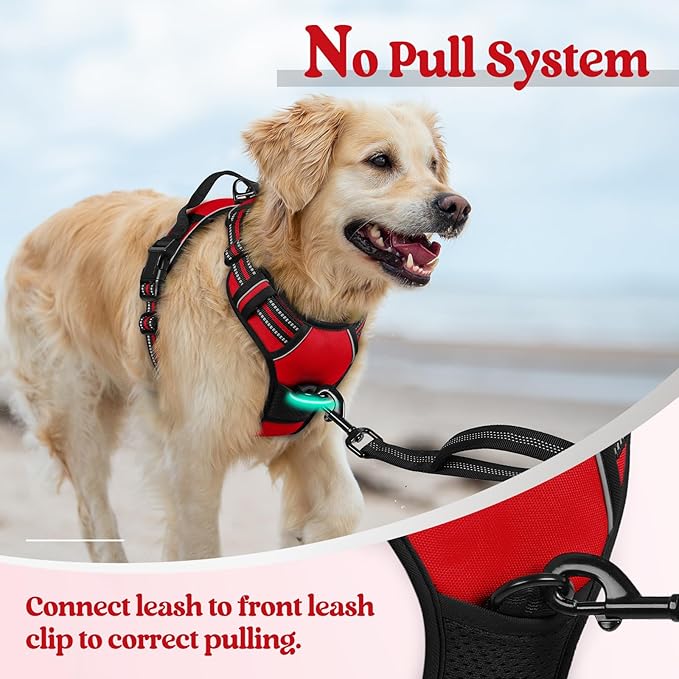 rabbitgoo Dog Harness, No-Pull Pet Harness with 2 Leash Clips, Adjustable Soft Padded Dog Vest, Reflective No-Choke Pet Oxford Vest with Easy Control Handle for Large Dogs, Red, XL
