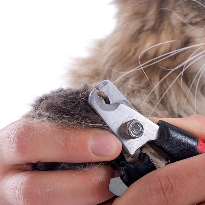 Windswept Products Dog Nail Cutter, Pet Nail Clipper, Claw & Nails Clippers Grinder Trimmer for Small, Medium, Large Dogs