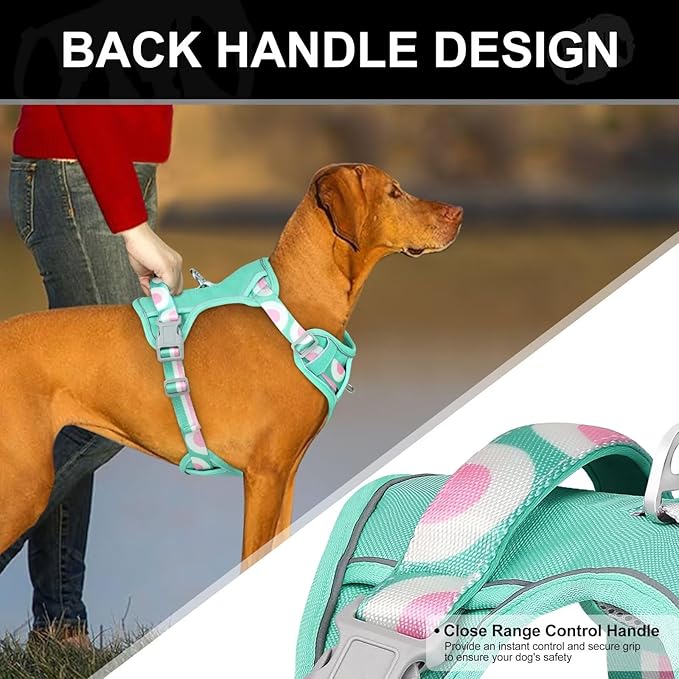No Pull Dog Harness and Leash Set,Reflective Dog Harness with Easy Control Soft Handle,Adjustable and Comfortable for Easy Walking,Fit Small Medium Large Breed Dogs,Blue,S
