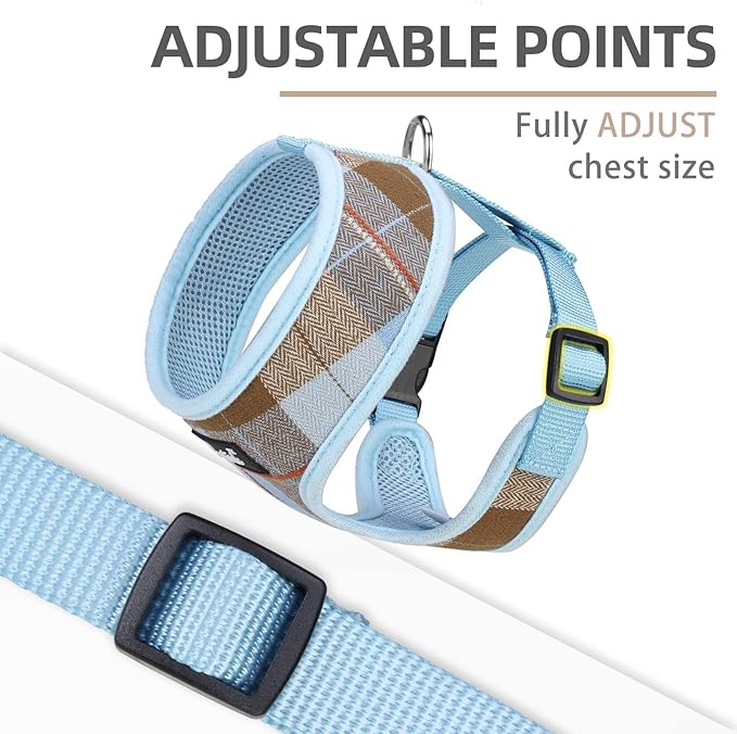 PUPTECK Soft Mesh Dog Harness and Leash Set Pet Puppy Cat Comfort Padded Vest No Pull Harnesses, Blue&Brown, S