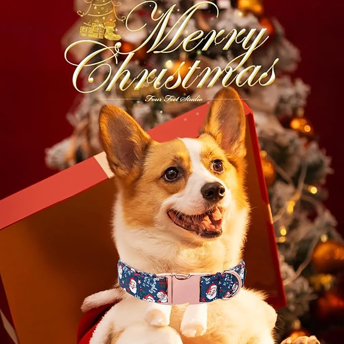 Maca Bates Christmas Dog Collar Cotton Soft Santa Claus Dog Collar with Metal Buckle Winter Dog Collar Adjustable for Small Medium Large Dog