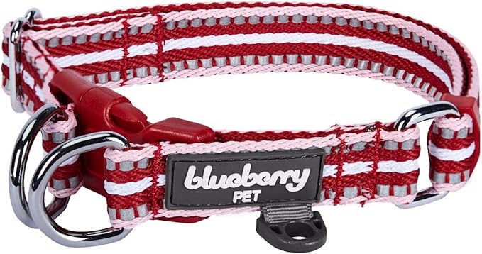 Blueberry Pet 3M Reflective Dog Collars | Adjustable Dog Collar w/Multi-Colored Stripe - Marsala Red and Pink | Nylon Pet Collars for Dogs & Refflective Dog Collar for Medium Dogs