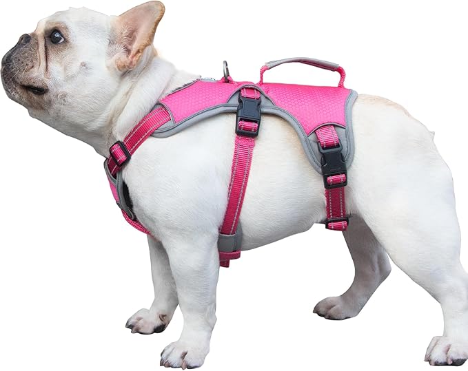 Escape Proof Dog Harness, Escape Artist Harness, Reflective Dog Harness with Handle, Durable,Adjustable Vest for Small Medium Large Dogs Walking, Training, and Running Gear(Rose Red, S)