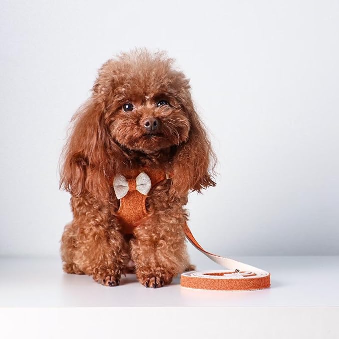 Beirui Small Dog Harness and Leash Set, Soft Lightweight Puppy Harness, Adjustable Bow Tie Puppy Harness for Small Dogs (Orange, XS)