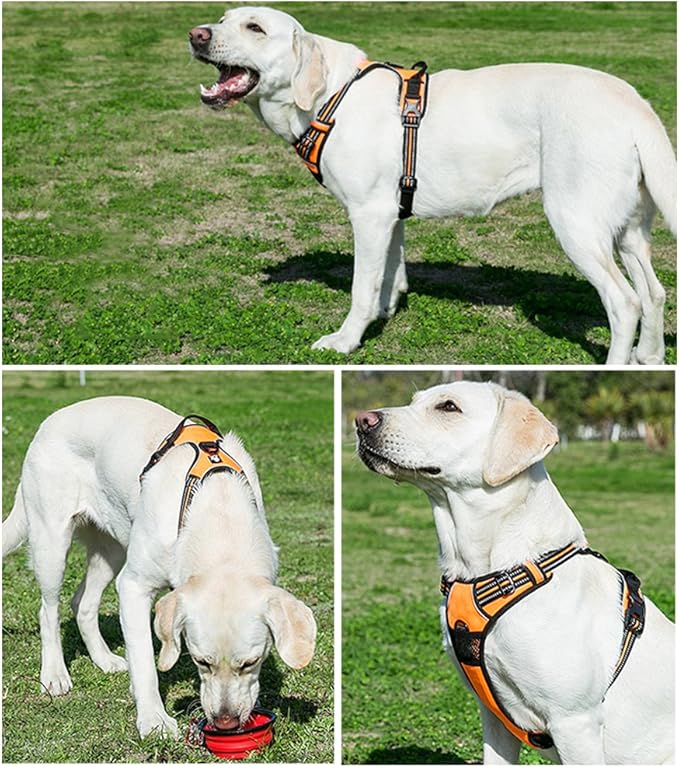 OLizee® New No Pull Dog Harness Outdoor Adventure Reflective Markings Pet Vest with Handle Adjustable Protective Nylon Walking Pet Harness Variety of Sizes and Colors,Orange S