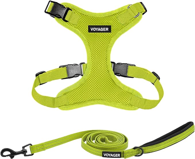 Voyager Step-in Lock Dog Harness w Reflective Dog Leash Combo Set with Neoprene Handle 5ft - Supports Small, Medium and Large Breed Puppies/Cats by Best Pet Supplies - Lime Green, S