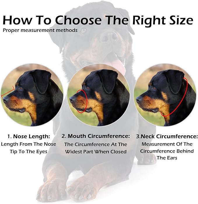 OOPSDOGGY Rottweiler Dog Muzzle for Large Dogs - Leather Breathable Secure Basket Muzzle for Large Breeds Prevents Biting No Chewing Adjustable (Black, Size 5 - Rottweiler)