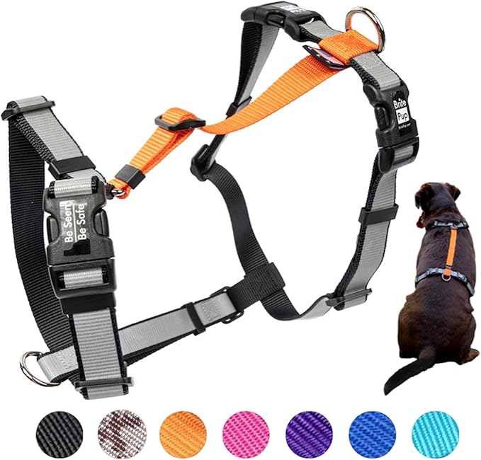 No Pull Harness with Fully Customizable Fitment for XS Dogs - 3M Reflective Heavy Duty Harness for Walking & Training - No Choke Comfortable Collar Design, Made in USA XS-Orange