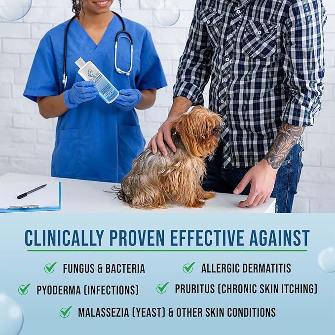 Command Medicated Dog Shampoo for Itchy Skin, Anti-Itch Relief for Allergies and Dry Skin, Healing Soothing Pet Care Formula (12 oz)