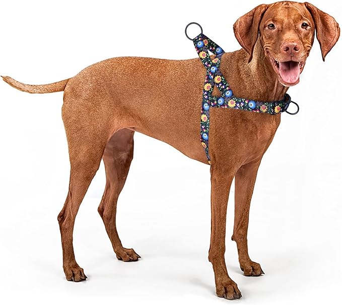 No Pull Dog Harness for Small, Medium, and Large Pets - Floral Pattern Nylon Safety Training Dog Harness (XS, Black)