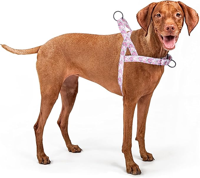 No Pull Dog Harness for Small, Medium, and Large Pets - Floral Pattern Nylon Safety Training Dog Harness (L, Peony)