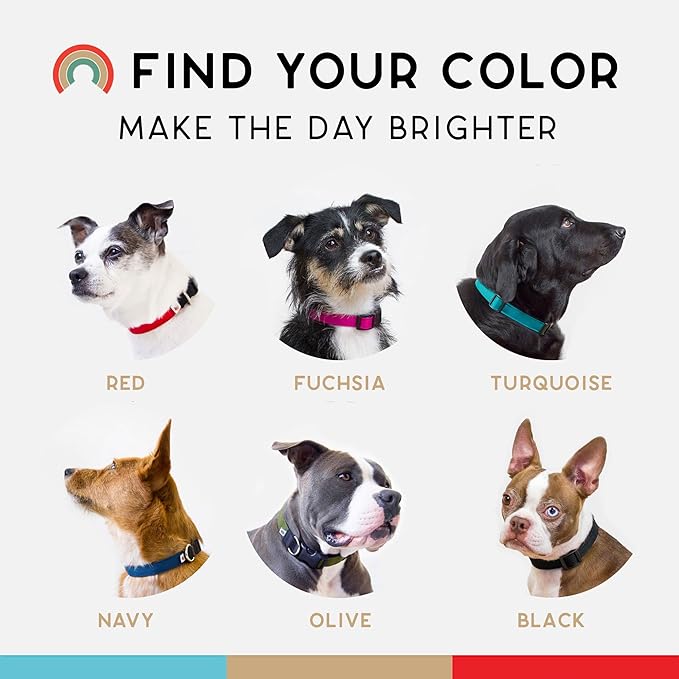 Dog Collar, Lightweight, Heavy Duty Dog Collar with Buckle, Fabric Pet Collar, Breathable & Adjustable Puppy Collar, Dog Collars for Medium Dogs (Navy, Medium - 10-16 Inch) - Wildebeest