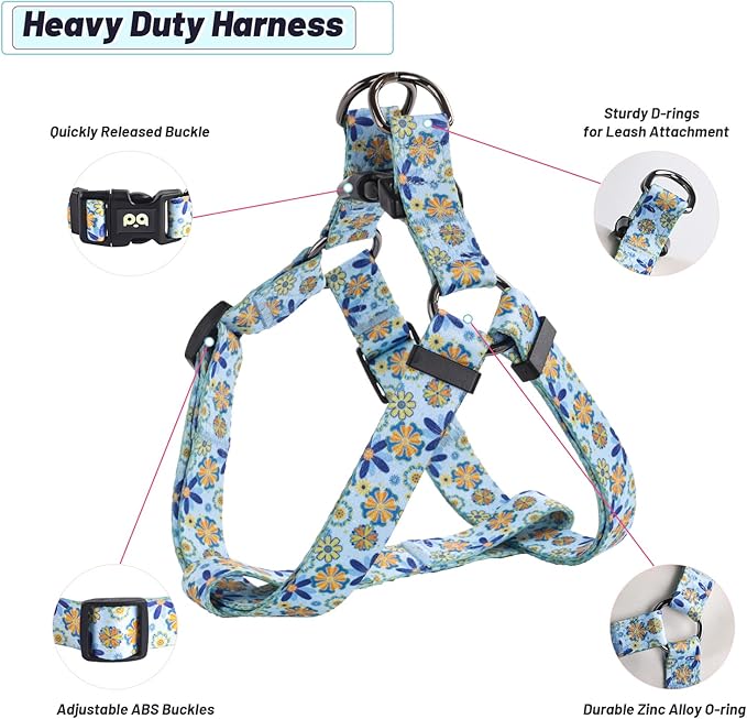 QQPETS Dog Harness Leash Set Adjustable Heavy Duty No Pull Halter Harnesses for Small Medium Large Breed Dogs Back Clip Anti-Twist Perfect for Walking