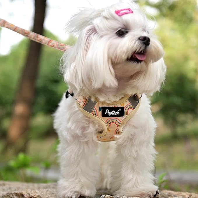 PUPTECK No Pull Dog Harness and Leash Set Reflective No Choke Step in Puppy Halter for XS Small and Medium Sized Dogs, Beige, Printed Fabric, S
