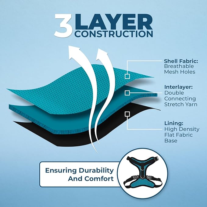 Voyager Step-in Lock Pet Harness - All Weather Mesh, Adjustable Step in Harness for Cats and Dogs by Best Pet Supplies - Turquoise/Black Trim, S