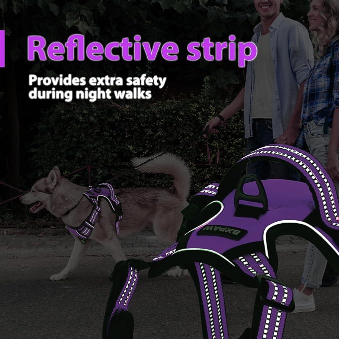 Dog Harness,No Pull Pet Harness Adjustable Reflective Pet Harness Easy Control Handle for Small to Large Dogs Soft Padded Puppy Vest (Purple, Small)