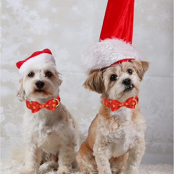 MR. CHUBBYFACE Christmas Gingerbread Man Dog Collar Gift for Boy Girl Dogs Adjustable Dog Collar Bowtie for Small Medium Large Dogs