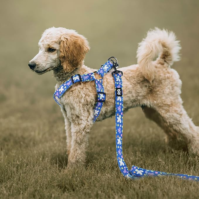 QQPETS Dog Harness Leash Set Adjustable Heavy Duty No Pull Halter Harnesses for Small Medium Large Breed Dogs Back Clip Anti-Twist Perfect for Walking