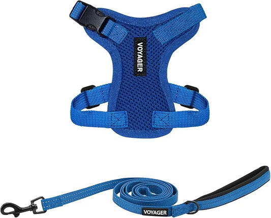 Voyager Step-in Lock Adjustable Cat Harness w. Cat Leash Combo Set with Neoprene Handle 5ft - Supports Small, Medium and Large Breed Cats by Best Pet Supplies - Royal Blue, XXXS