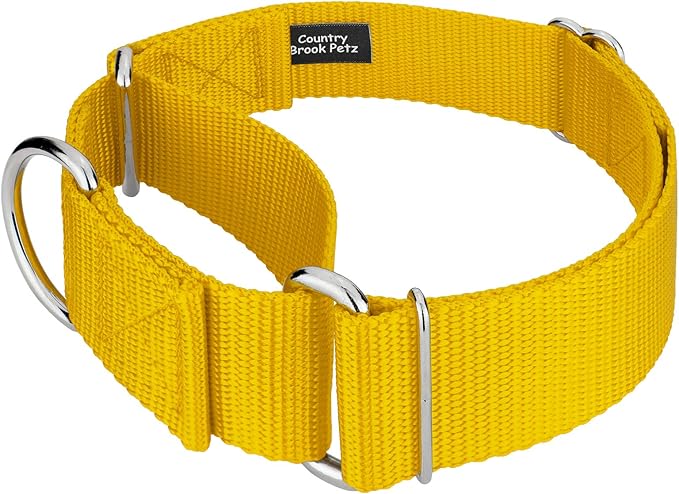 Country Brook Petz 1 1/2 Inch Martingale Heavy Duty Nylon Adjustable Dog Collar for Small, Medium, Large Breeds - Vibrant 17 Color Selection (Gold, Medium)