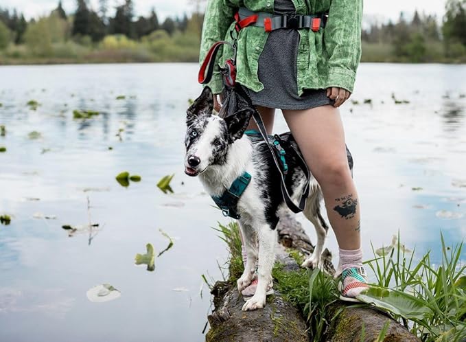 Kurgo Journey Air Dog Harness, Vest Harnesses for Dogs, Pet Hiking Harness for Running & Walking, Reflective, Padded, Includes Control Handle, No Pull Front Clip (Blue, X-Large)