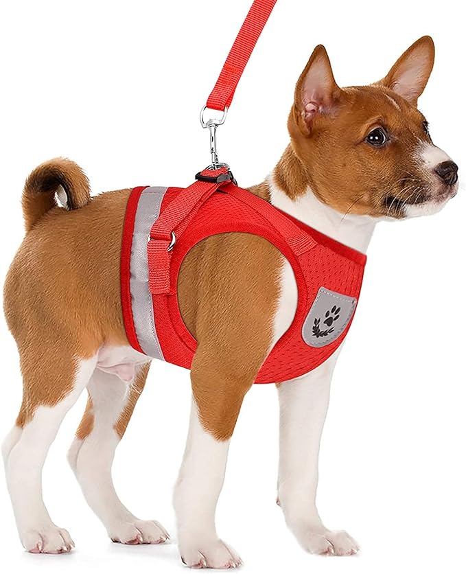 Cat Harnesses for Small Dogs - Cat Harnesses and Leashes for Walking, Adjustable Reflective Step in Dog Harness for Small Dog and Cat (Red, M (13.7” – 15.7”))