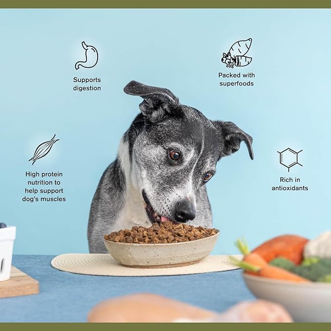 BADLANDS RANCH- Superfood Complete, Air-Dried Adult Dog Food - High Protein, Zero Fillers, Superfood Nutrition by Katherine Heigl (24 oz. Wild Fish and Turkey Formula)