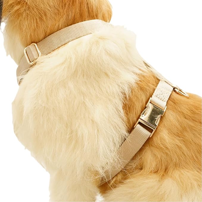 Nylon No Pull Dog Harness with Gold Metal Buckles,Easy Walking and Training Dog Harness (Tan, M)