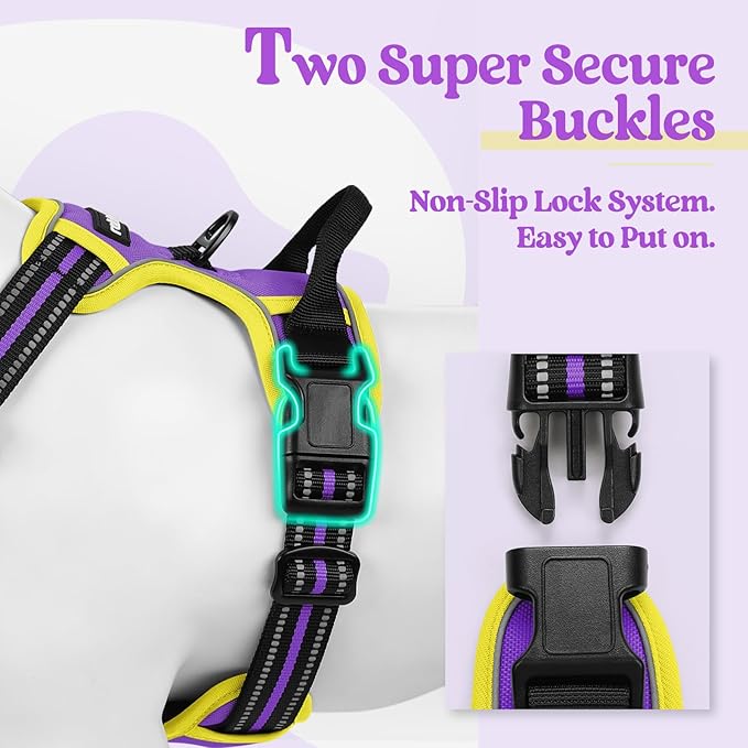 rabbitgoo Dog Harness, No-Pull Pet Harness with 2 Leash Clips, Adjustable Soft Padded Dog Vest, Reflective No-Choke Pet Oxford Vest with Easy Control Handle for Large Dogs, Purple & Yellow, XL