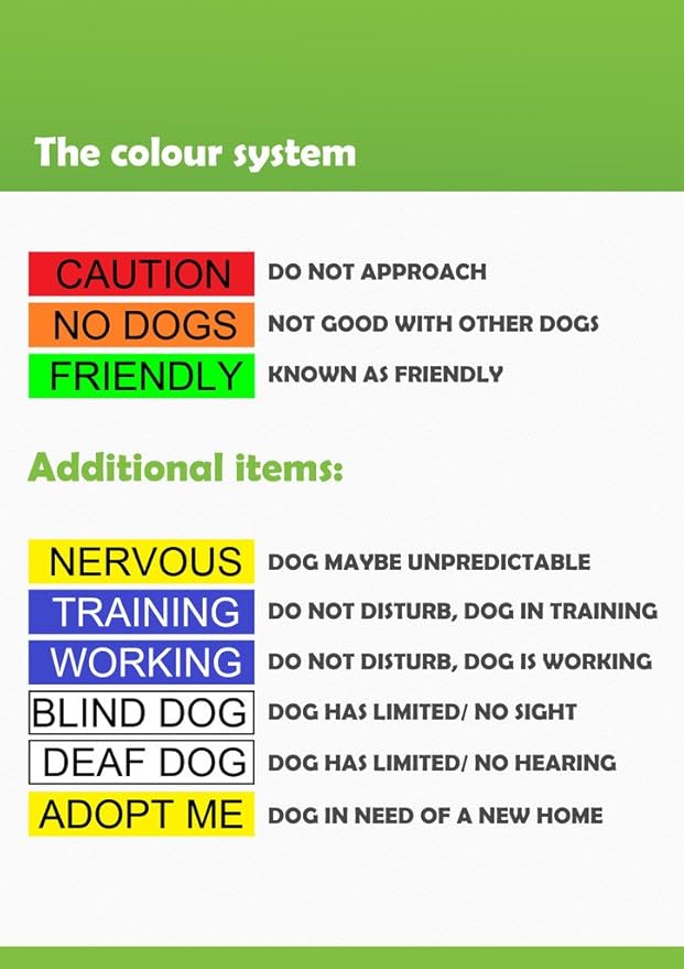 Limited DO NOT PET Red Color Coded Non-Pull Front and Back D Ring Padded and Waterproof Vest Dog Harness Prevents Accidents by Warning Others of Your Dog in Advance (M)