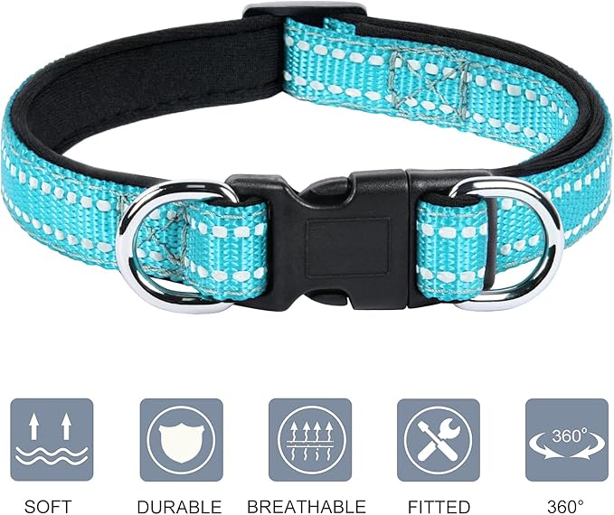 AUAUY Reflective Nylon Dog Collars, Adjustable Classic Pet Collars with Soft Neoprene Padding, Double Security Dual D-Ring and Quick Release Buckle for Small Puppy, Medium and Large Dogs (Lake Blue-S)
