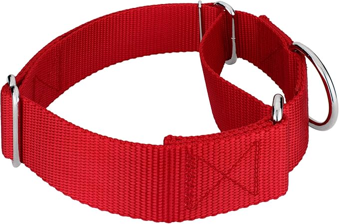 Country Brook Petz 1 1/2 Inch Martingale Heavy Duty Nylon Adjustable Dog Collar for Small, Medium, Large Breeds - Vibrant 17 Color Selection (Red, Extra Large)