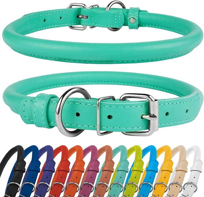 CollarDirect Rolled Leather Dog Collar, Soft Padded Round Puppy Collar, Handmade Genuine Leather Collar Dog Small Large Cat Collars 13 Colors (13-16 Inch, Mint Green Textured)