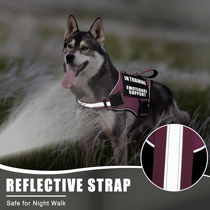 Service Dog Vest Harness+ID Tag+10 Patches,Metal Serivce Dog Tag&Reflective Emotional Support Dog Vest with Handle for Medium Dogs,Easy Put On/Off for Training/Walking/Everyday Pink M