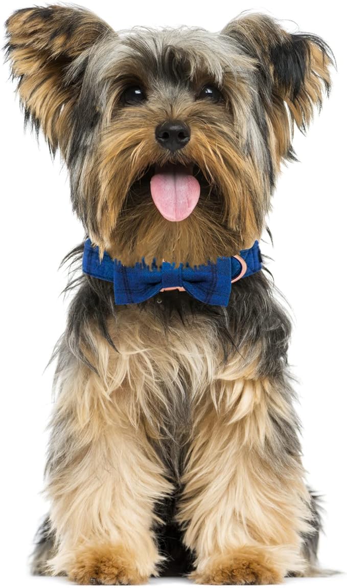 MACA Bates Dog Blue Woolen Collar with Nylon- Warm and Soft Bows Dog Collar for Large Medium Small Dogs, Adjustable Dog Collar with Metal Buckle for Boy and Girl in Winter, XS Puppy Collar