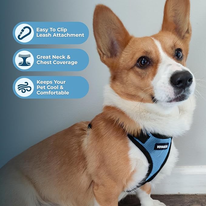 Voyager Step-in Lock Pet Harness - All Weather Mesh, Adjustable Step in Harness for Cats and Dogs by Best Pet Supplies - Baby Blue/Black Trim, S
