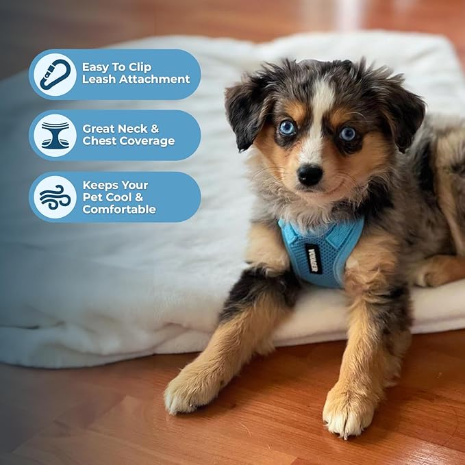 Voyager Step-in Lock Dog Harness w Reflective Dog Leash Combo Set with Neoprene Handle 5ft - Supports Small, Medium and Large Breed Puppies/Cats by Best Pet Supplies - Baby Blue, S