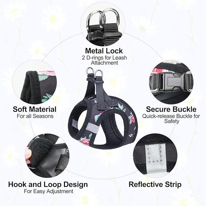 BEAUTYZOO Step in Dog Harness and Leash Set, Floral Pattern Reflective Dog Harness No Pull No Choke Puppy Harness for XXS XS S Dogs Cats, Soft Padded Mesh Vest Harnesses for Girl and Boy Pets
