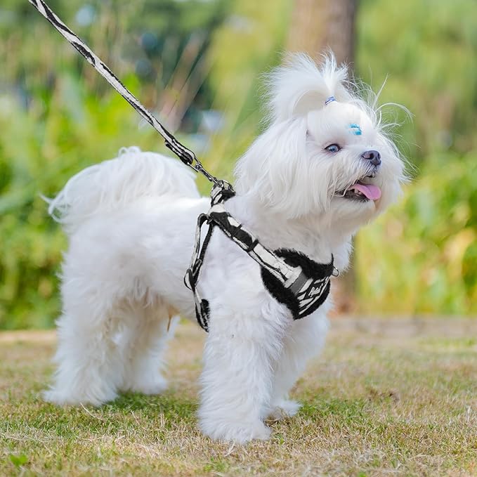 PUPTECK No Pull Dog Harness and Leash Set Reflective No Choke Step in Puppy Halter for XS Small and Medium Sized Dogs, White Zebra Print, Plush, XS