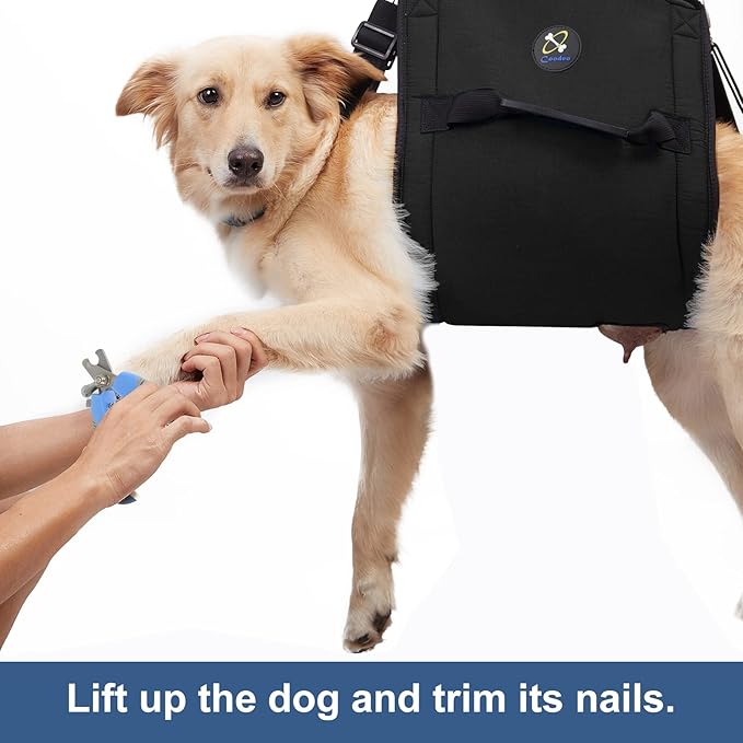 Dog Carry Sling, Emergency Backpack Pet Legs Support & Rehabilitation Dog Lift Harness for Nail Trimming, Dog Carrier for Senior Dogs Joint Injuries, Arthritis, Up and Down Stairs(XL, Black)